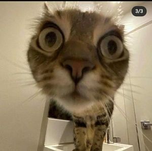 Meet your Posher, Jaquan